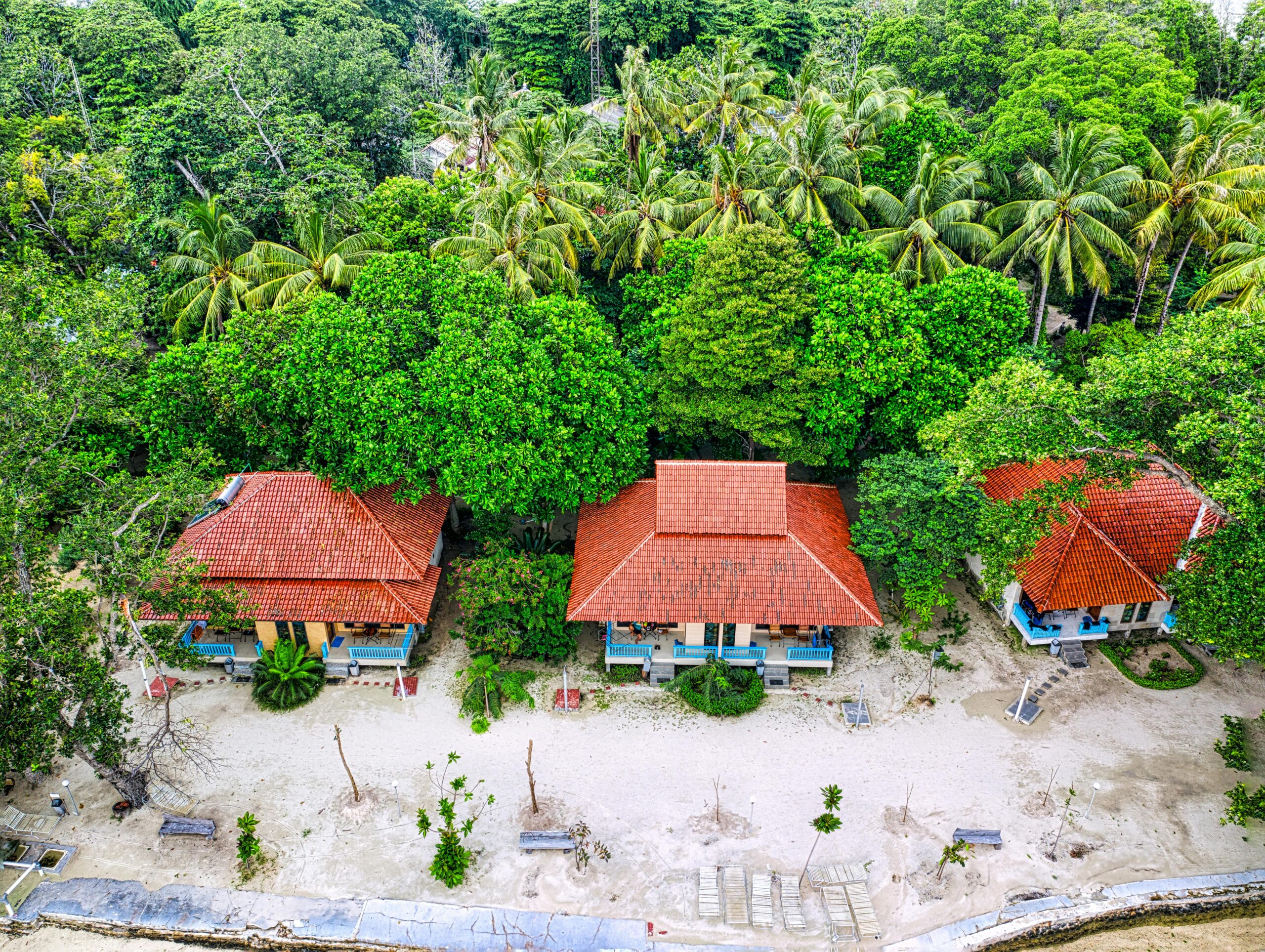 aerial shot of houses