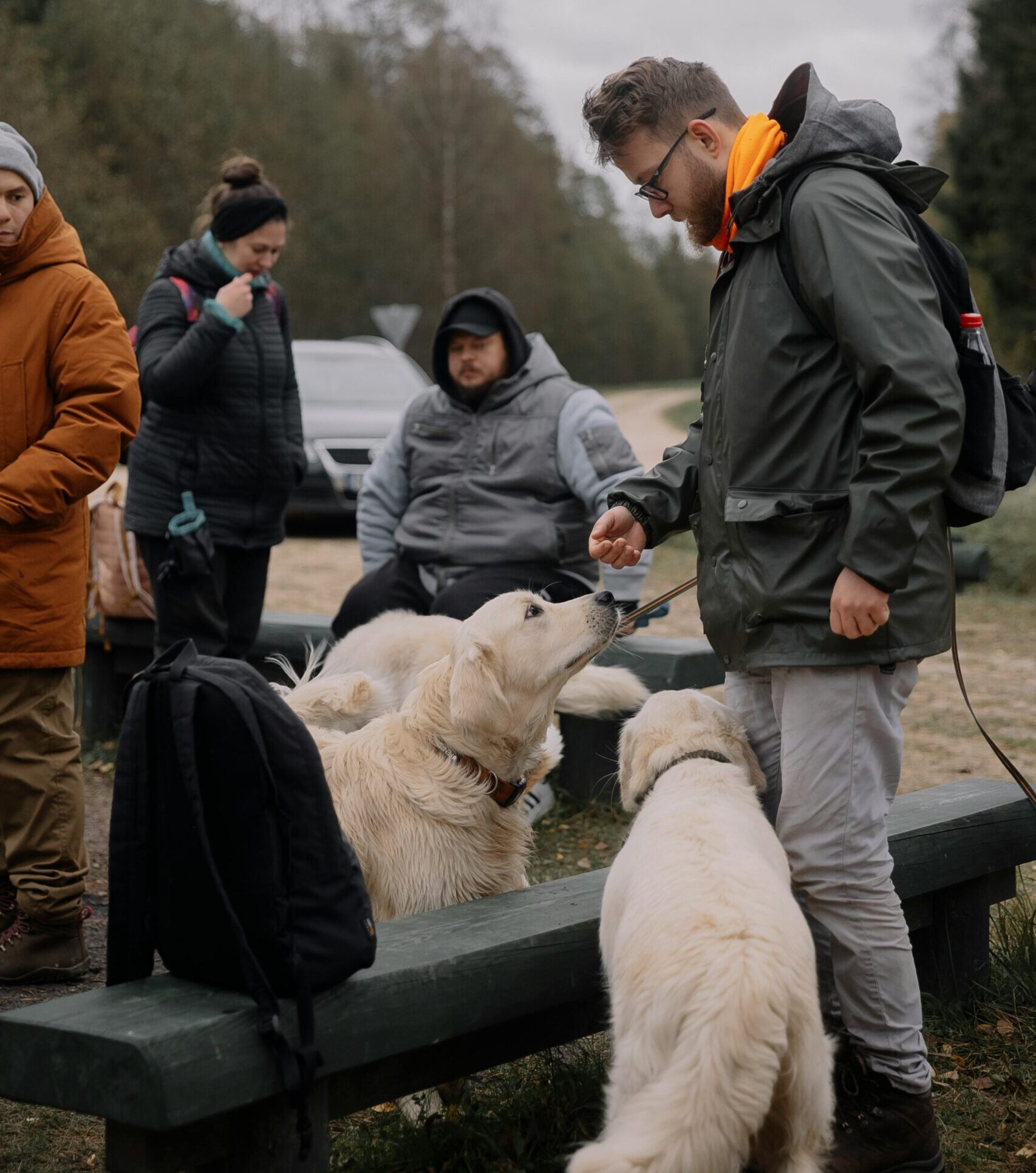 hikers with dogs and backpacks preparing for a trip