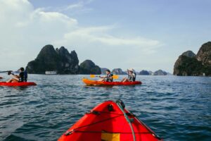 people kayaking on the sea