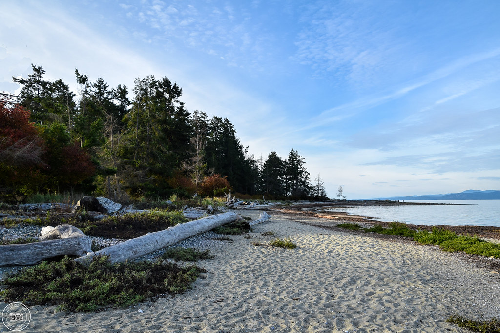 rathtrevor beach provincial park