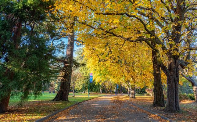 beacon hill park city of victoria