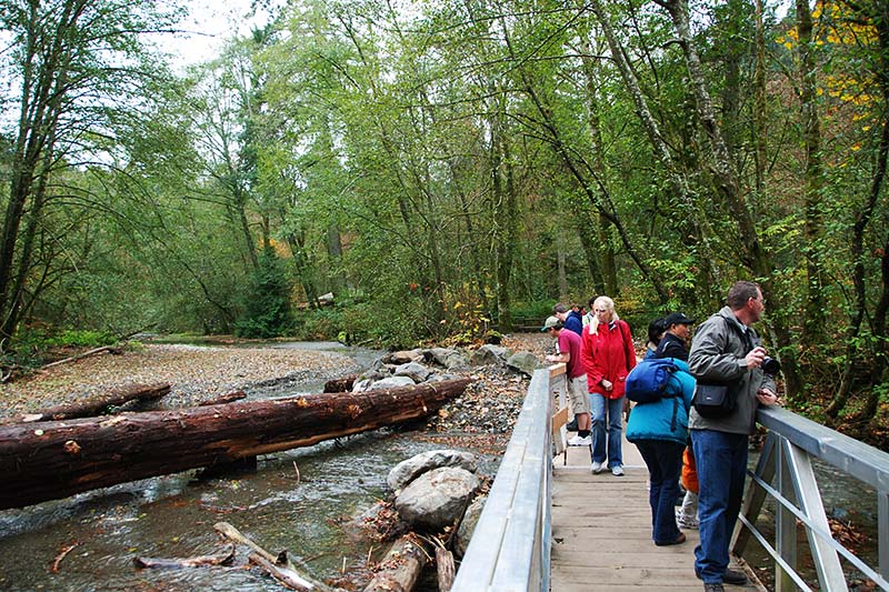 goldstream provincial park